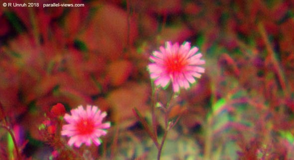 2018 07 11 12;26 _MG_8256 fc 2