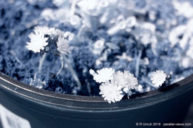 2018 07 26 12;08 _MG_8565