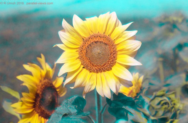 2018 07 27 12;36 combo