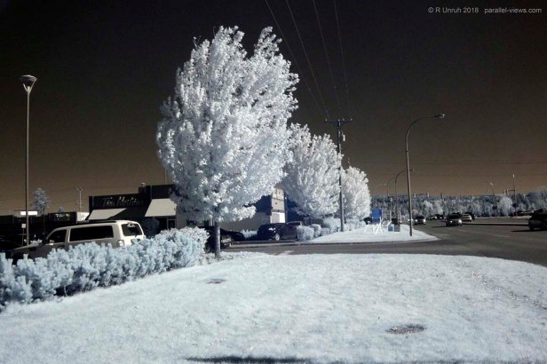 2018 09 29 13;03 _MG_2895