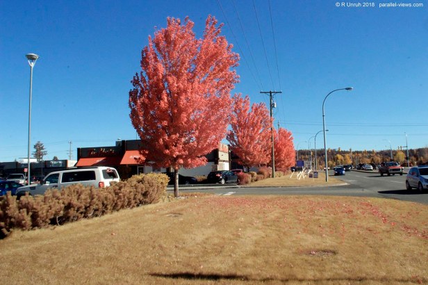 2018 09 29 13;03 _MG_2898