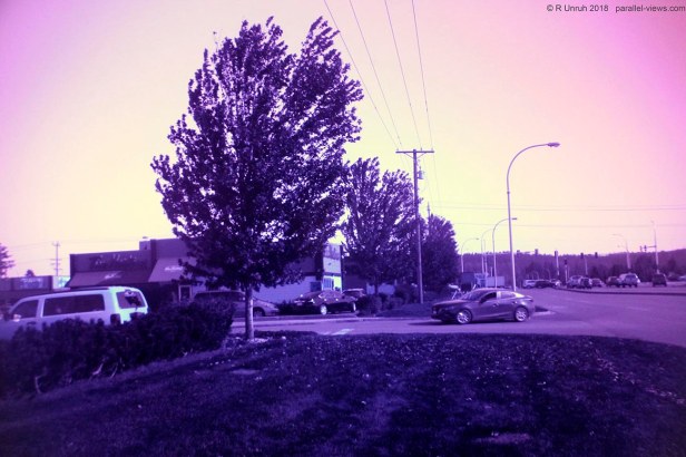 2018 09 29 13;05 _MG_2911