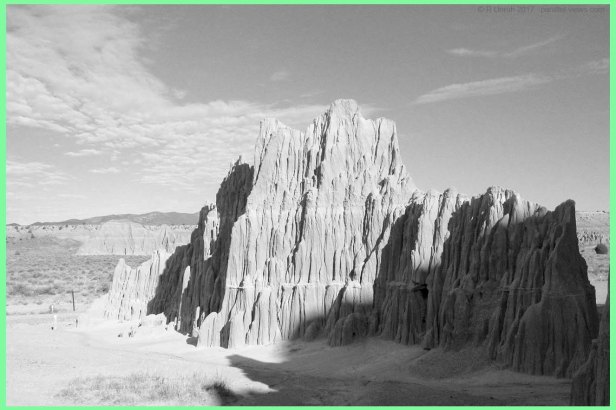 2017 08 23 08;10 L G IMG_7489