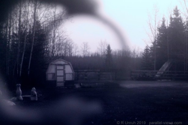 2018 10 22 10;38 _MG_3526 (Medium)