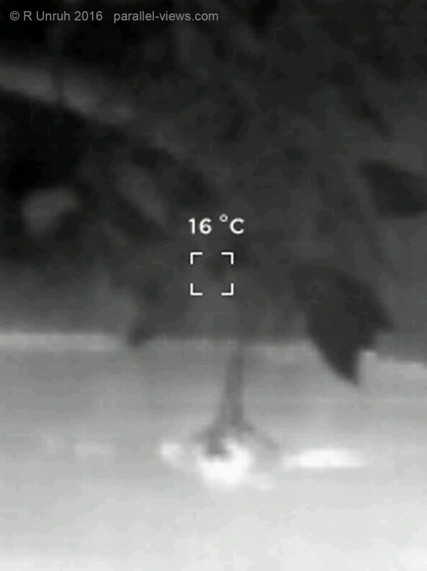 2016 08 27 17;30 IMGT0165 - Copy