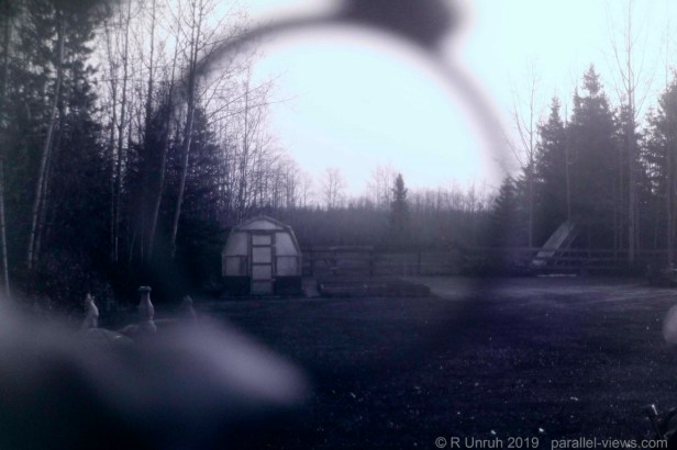 2018 10 23 10;20 _MG_3628 (Medium)