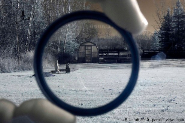 2018 10 23 10;47 _MG_3658 (Medium)