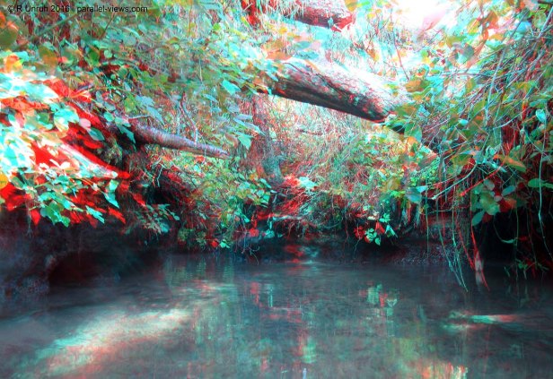 2016 08 28 09;13 L IMG_4476