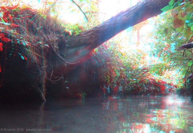 2016 08 28 09;15 R IMG_5601