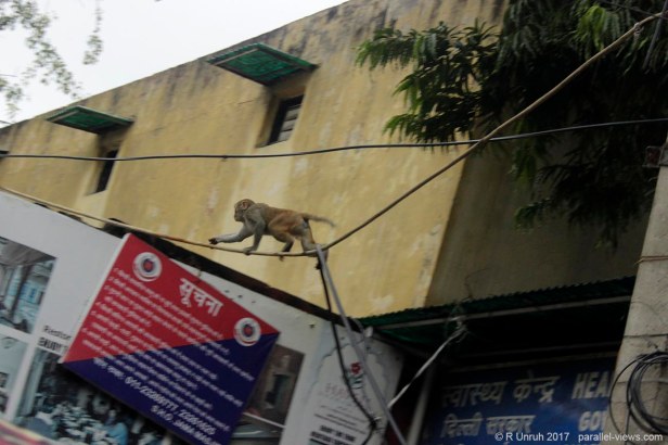 2017 09 23 17;12 _MG_3358