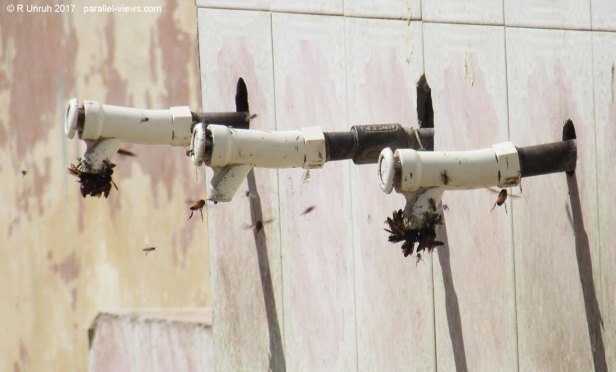 2017 09 28 10;31 R IMG_2830