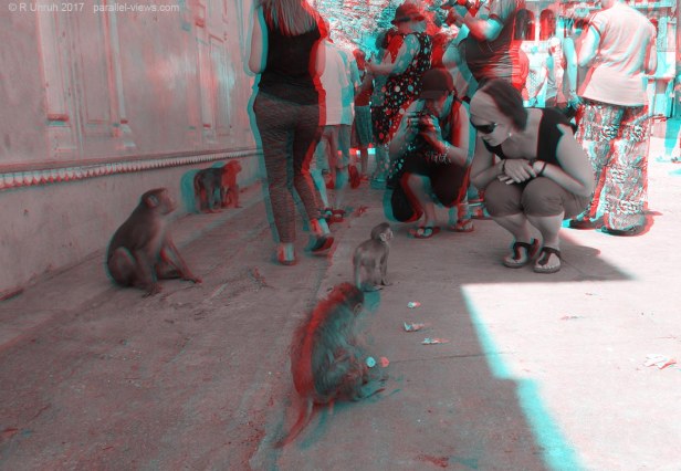 2017 09 28 10;35 L IMG_8828