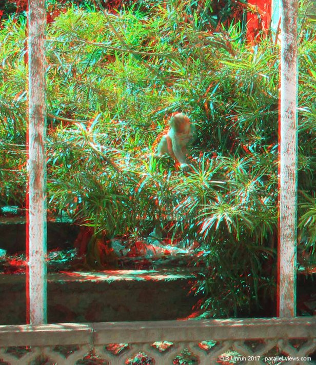 2017 09 28 10;35 R IMG_2852