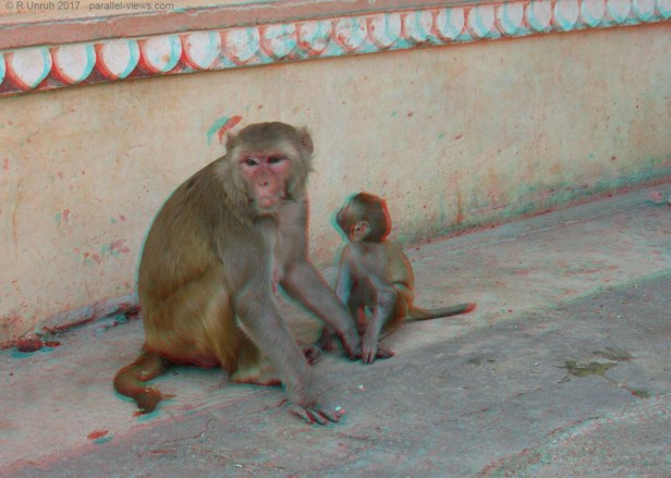 2017 09 28 10;36 L IMG_8835