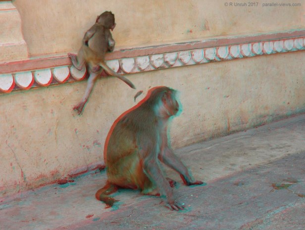 2017 09 28 10;36 R IMG_2867