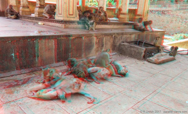 2017 09 28 10;45 L IMG_8847