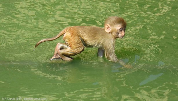 2017 09 28 10;49 R IMG_2932