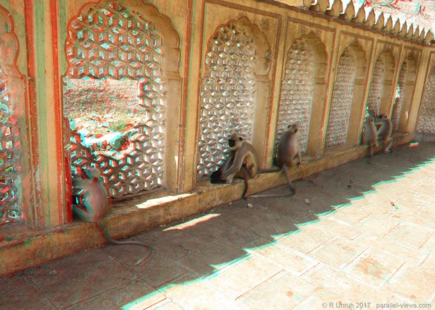 2017 09 28 10;50 L IMG_8859