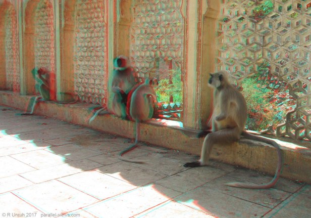 2017 09 28 10;52 R IMG_2954