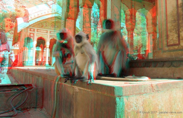 2017 09 28 10;58 R IMG_2966 darker