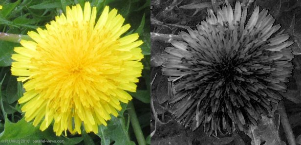 2018 05 21 12;18 R IMG_4177