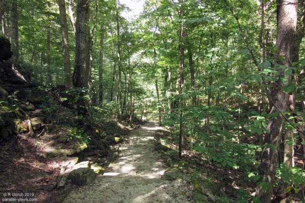 2019 08 30 10;11 R IMG_9318