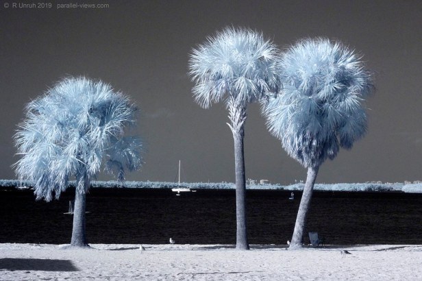 2019 12 16 15;23 EST FS_MG_7715