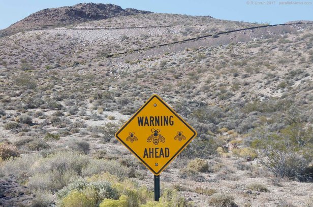 2017 08 23 16;10 _MG_0185.jpg