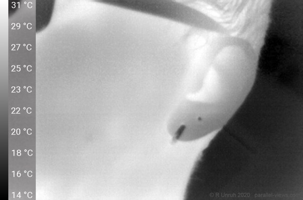 PRO_SELFIE, Android 8.1.0