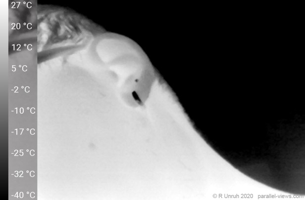 PRO_SELFIE, Android 8.1.0