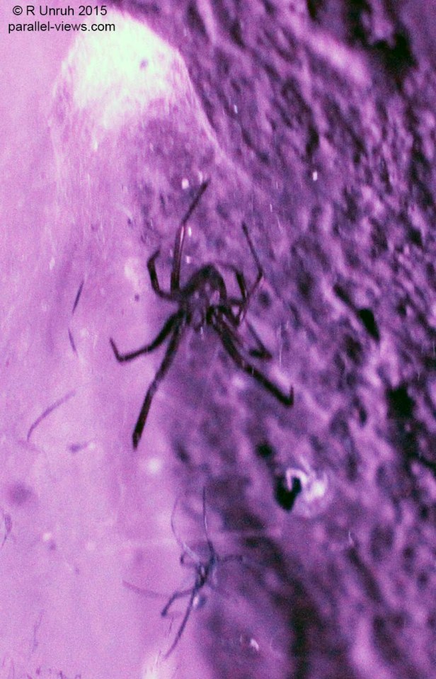 2015 09 06 15;18 R _MG_8654 sp