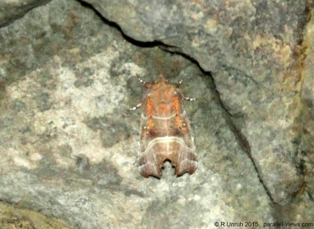 2015 09 06 11;34 R _MG_8441